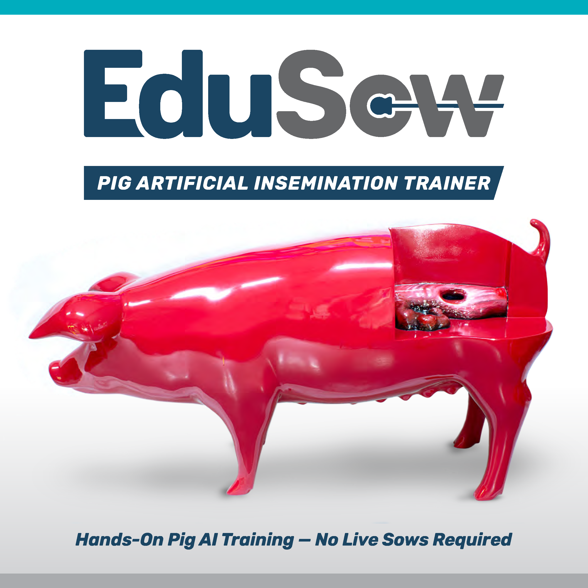 EduSow - PIG ARTIFICIAL INSEMINATION TRAINER